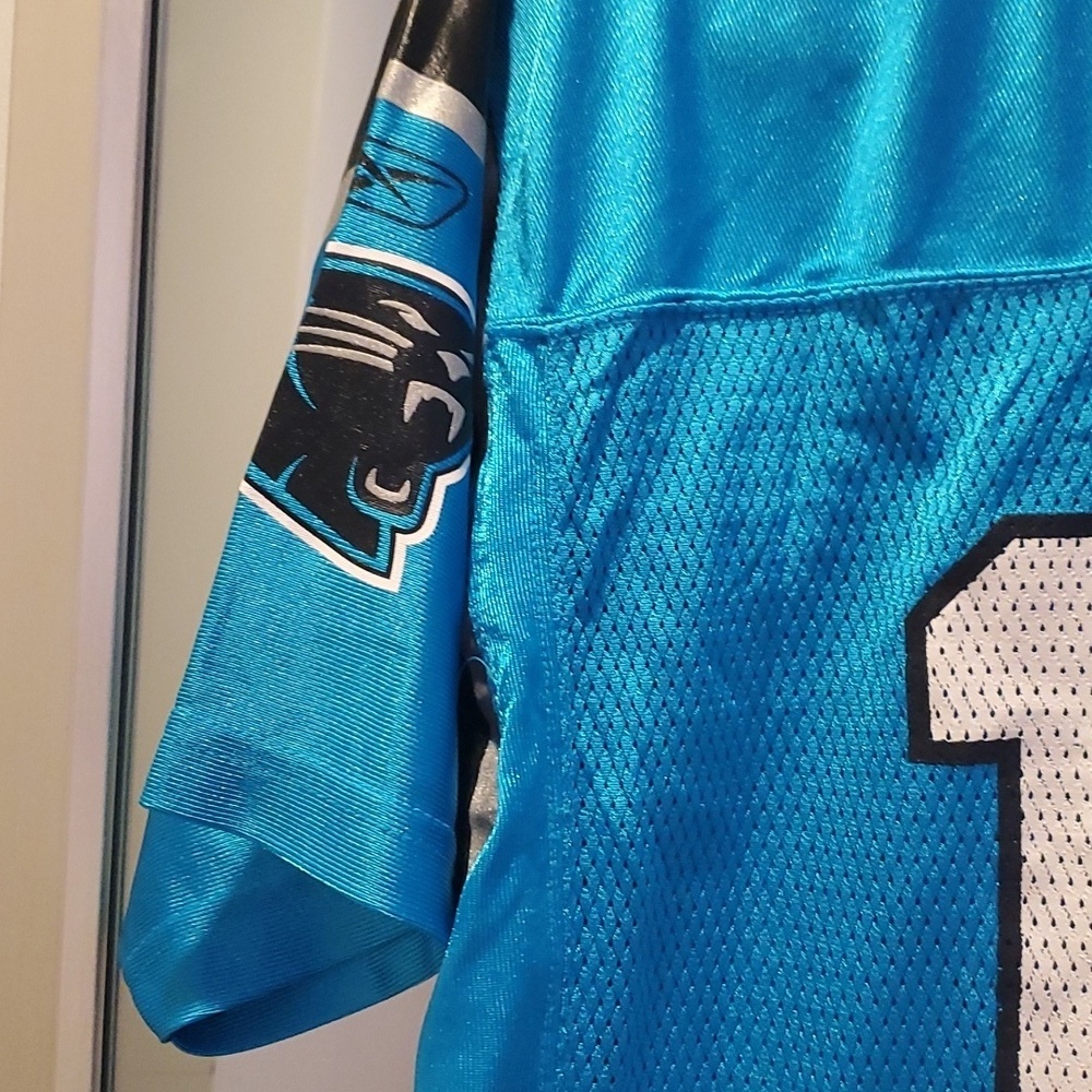 Carolina Panthers Jake Delhomme #17 Jersey Youth Size XL (49) - Picture 4 of 5